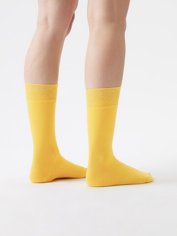 Von Jungfeld Socks 'SIGNATURE' in Yellow: front