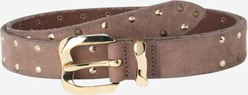 VANZETTI Belt in Brown: front