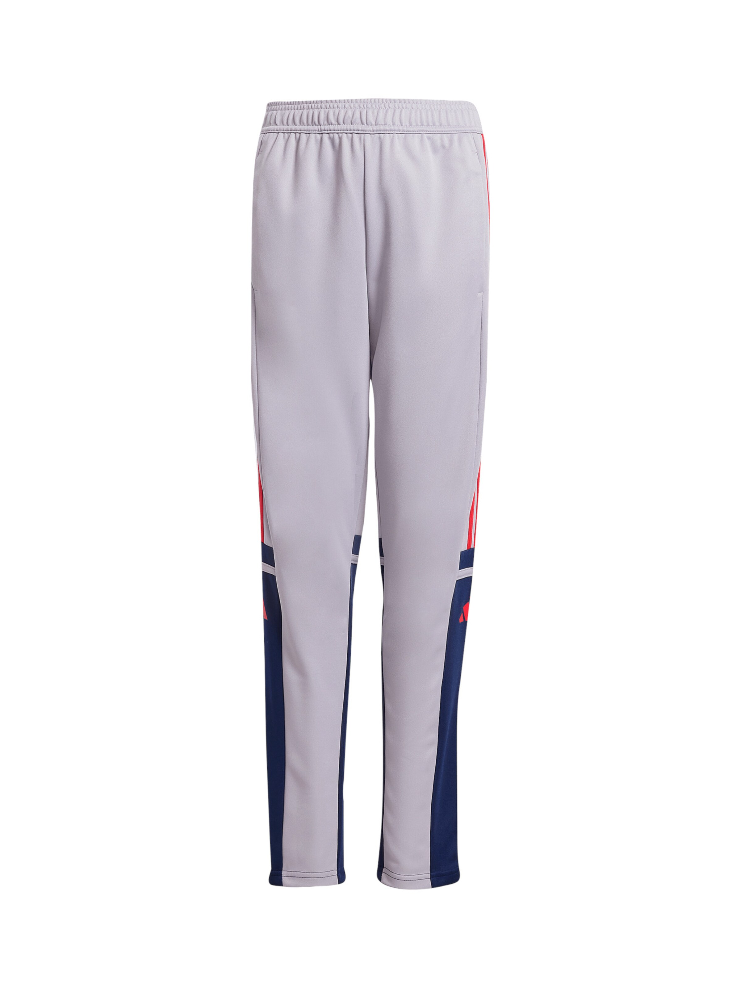 ADIDAS PERFORMANCE Slimfit Sporthose 'Squadra 25' in Lila: Vorderseite