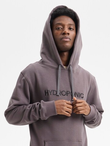 hydroponic - Sudadera 'Hydroponic Regular-Fit Brand Embroidered Hoodie' en gris