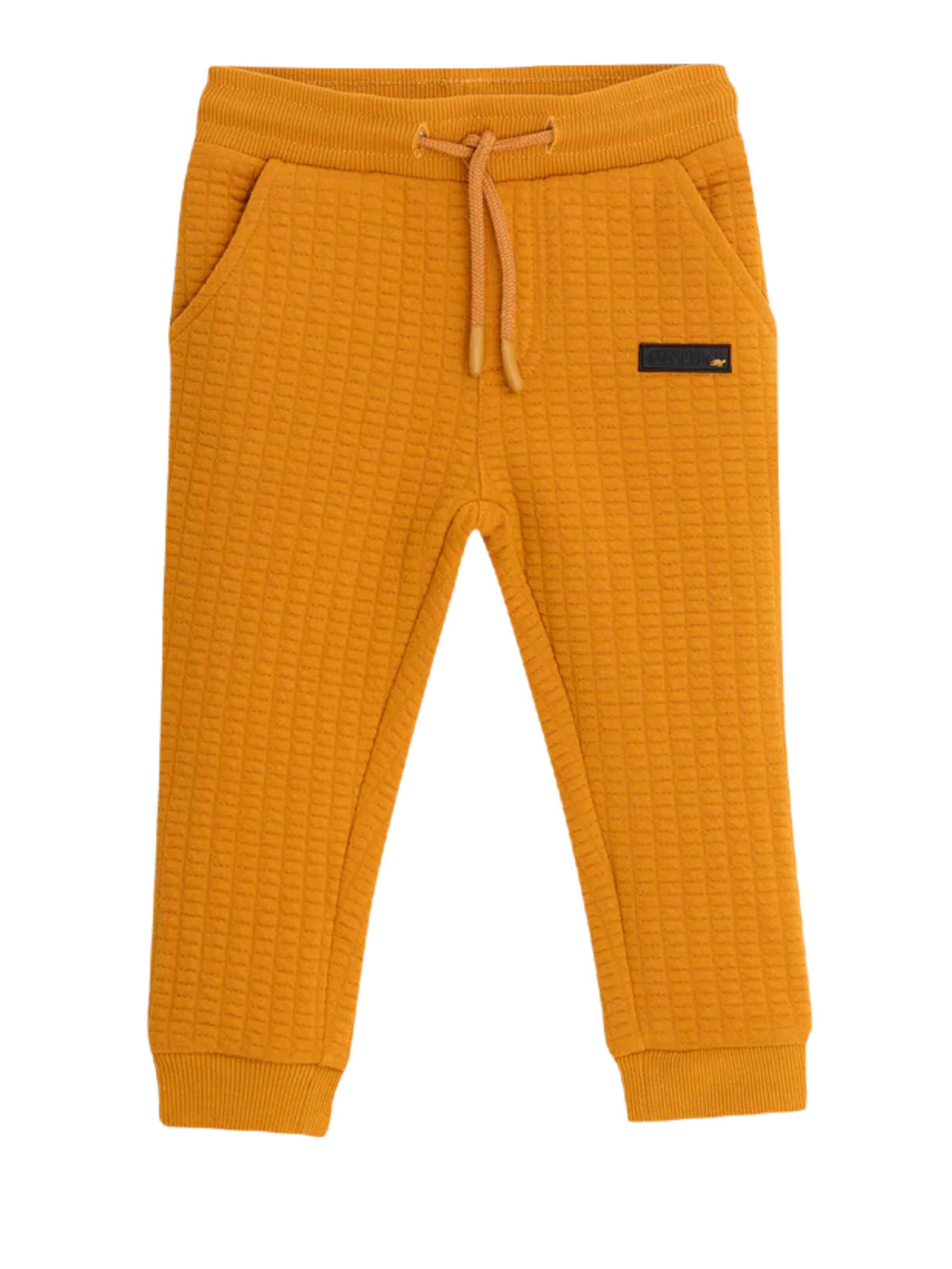 4PRESIDENT Regular Hose 'Ben'‌‌‌‌ in Orange: Vorderseite