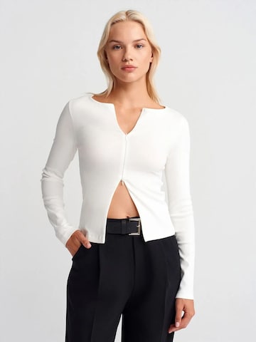Dilvin Blouse in White: front