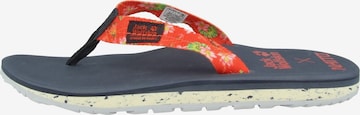 JACK WOLFSKIN T-Bar Sandals 'Beachster' in Red: front