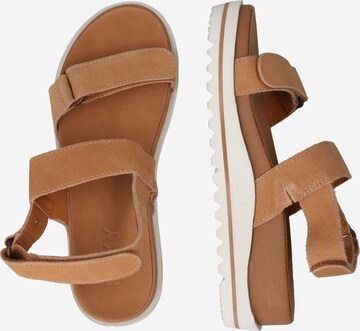 Sandales à lanières 'HIMARI' ROXY en beige