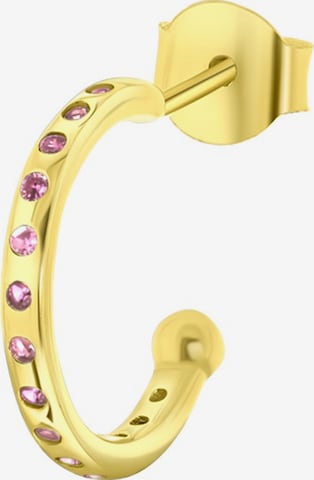 Lucardi Earrings 'Geburtsstein' in Gold: front