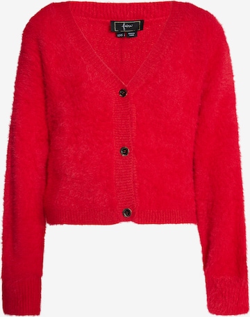 faina Gebreid vest in Rood: voorkant