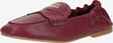 Chaussure basse STEVE MADDEN en rouge : devant