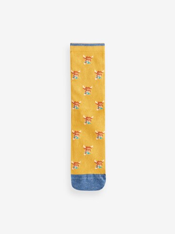 Chaussettes Next en mélange de couleurs