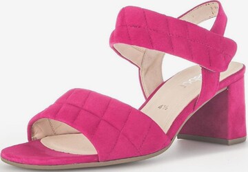 GABOR - Sandalias en rosa: frente
