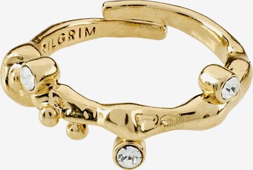 Pilgrim Ring ' Iwona ' in Gold: predná strana