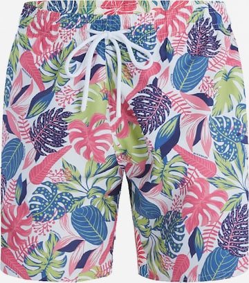 Shorts de bain ' Medium Pattern ' Blackspade en mélange de couleurs : devant