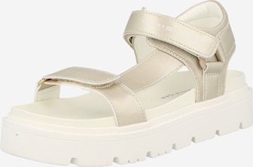 TOMMY HILFIGER Sandaalit 'CLAIRE' värissä kulta: etupuoli
