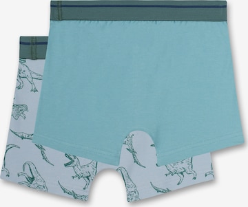 SANETTA Underpants in Blue