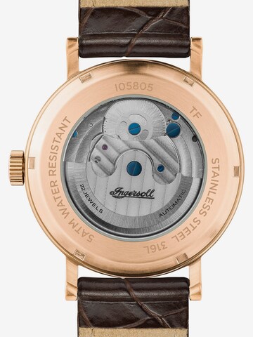 INGERSOLL Analog Watch in Brown