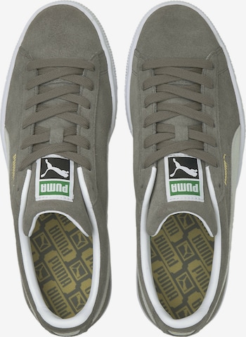 PUMA حذاء رياضي بلا رقبة 'Classic XXI' بلون أخضر