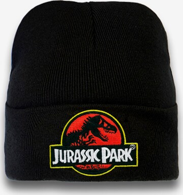 LOGOSHIRT Strickmütze 'Jurassic Park' in Mischfarben: predná strana