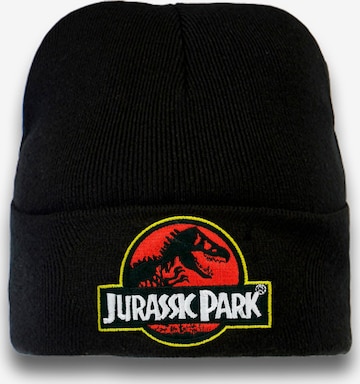 LOGOSHIRT Strickmütze 'Jurassic Park' in Schwarz: front