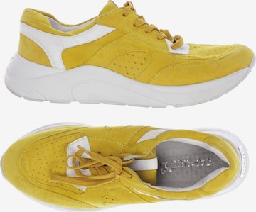 CAPRICE Sneakers & Trainers in 39 in Yellow: front