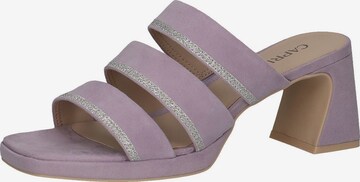 CAPRICE Mules in Purple: front