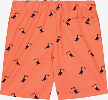 Shiwi Board Shorts in Orange