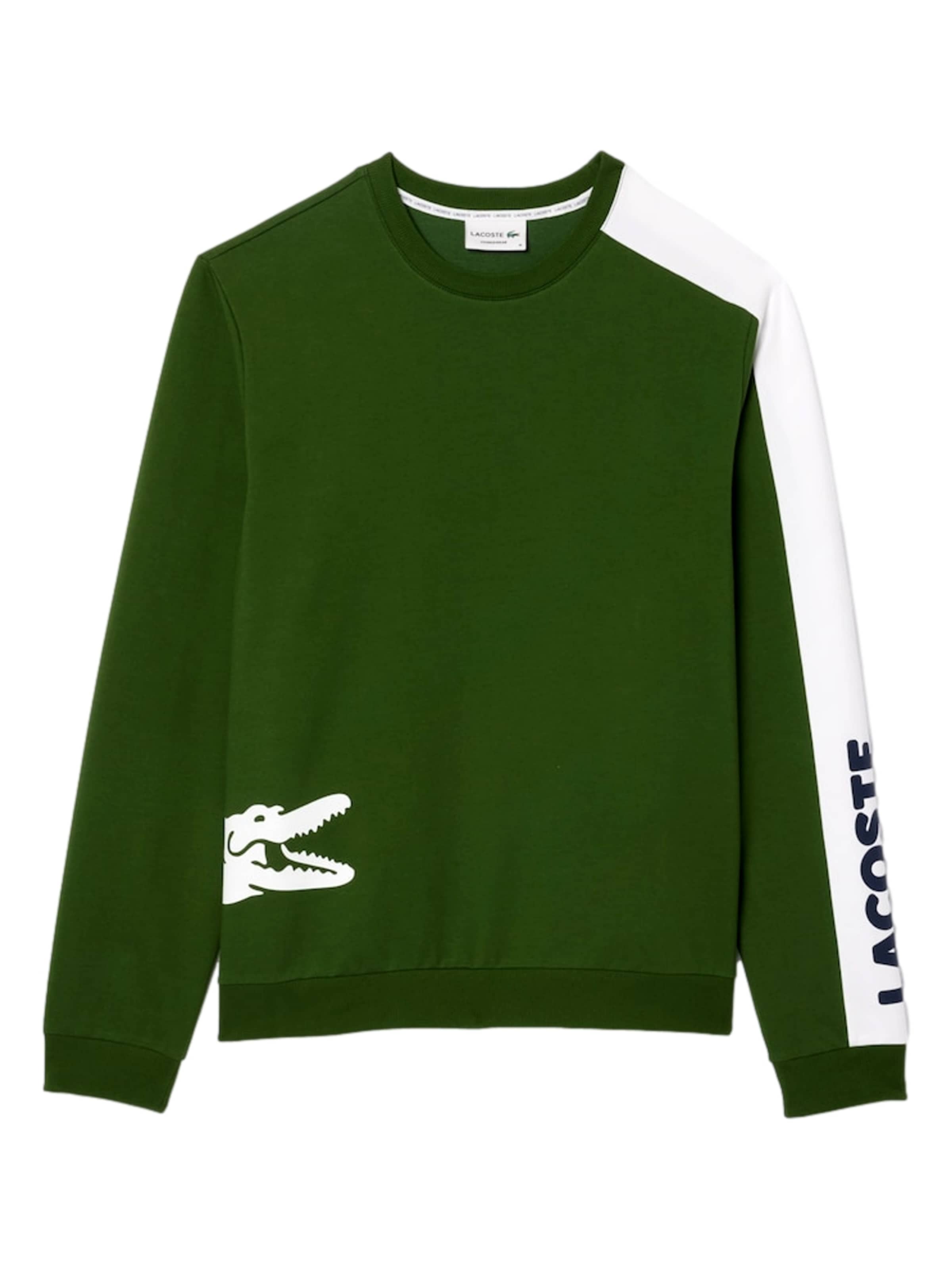 LACOSTE Sweatshirt in Grün: Vorderseite