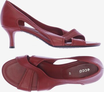 ECCO Pumps 40 in Rot: predná strana