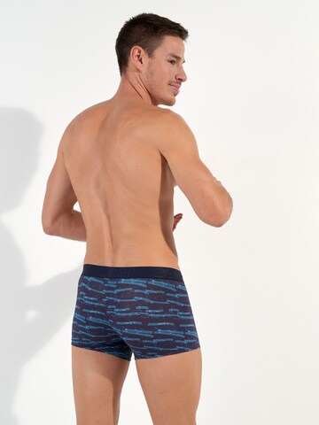 HOM Boxer shorts ' Tenerife ' in Blue