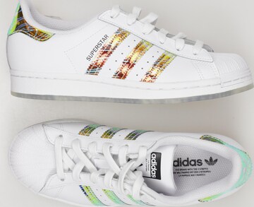 ADIDAS ORIGINALS Sneakers & Trainers in 37 in White: front