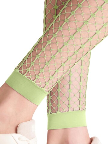 FALKE Slimfit Leggings 'Paradise Net'‌‌‌‌‌‌ in Gelb