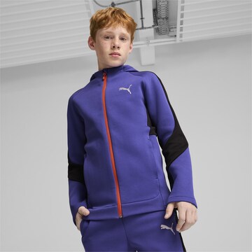 PUMA Athletic Zip-Up Hoodie 'Evostripe' in Blue