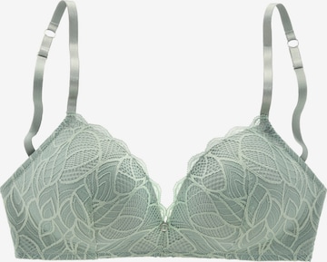 LASCANAGrudnjak - zelena boja: prednji dio