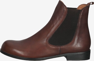 Everybody Chelsea Boots in Brown