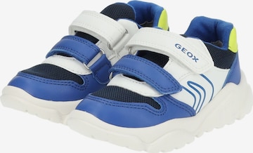 GEOX Sneaker in Blau