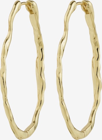 Pilgrim Korvakoru 'Timber' värissä kulta: etupuoli