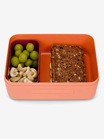 ergobag Bag 'Brotdose Brotdose' in Orange