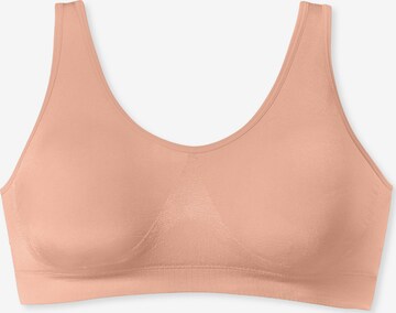 SCHIESSER Bustier ' Casual Seamless ' in Orange: predná strana