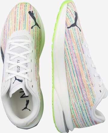 Chaussure de course 'Velocity Nitro Spectra' PUMA en blanc