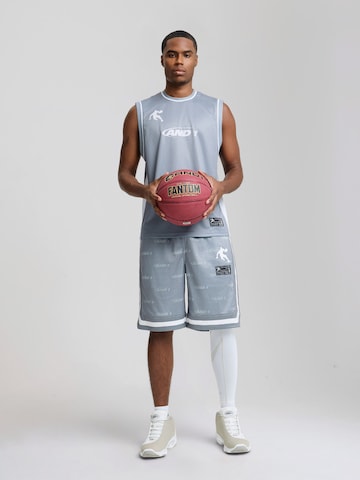 AND1 Normalny krój Spodnie sportowe w kolorze szary: przód