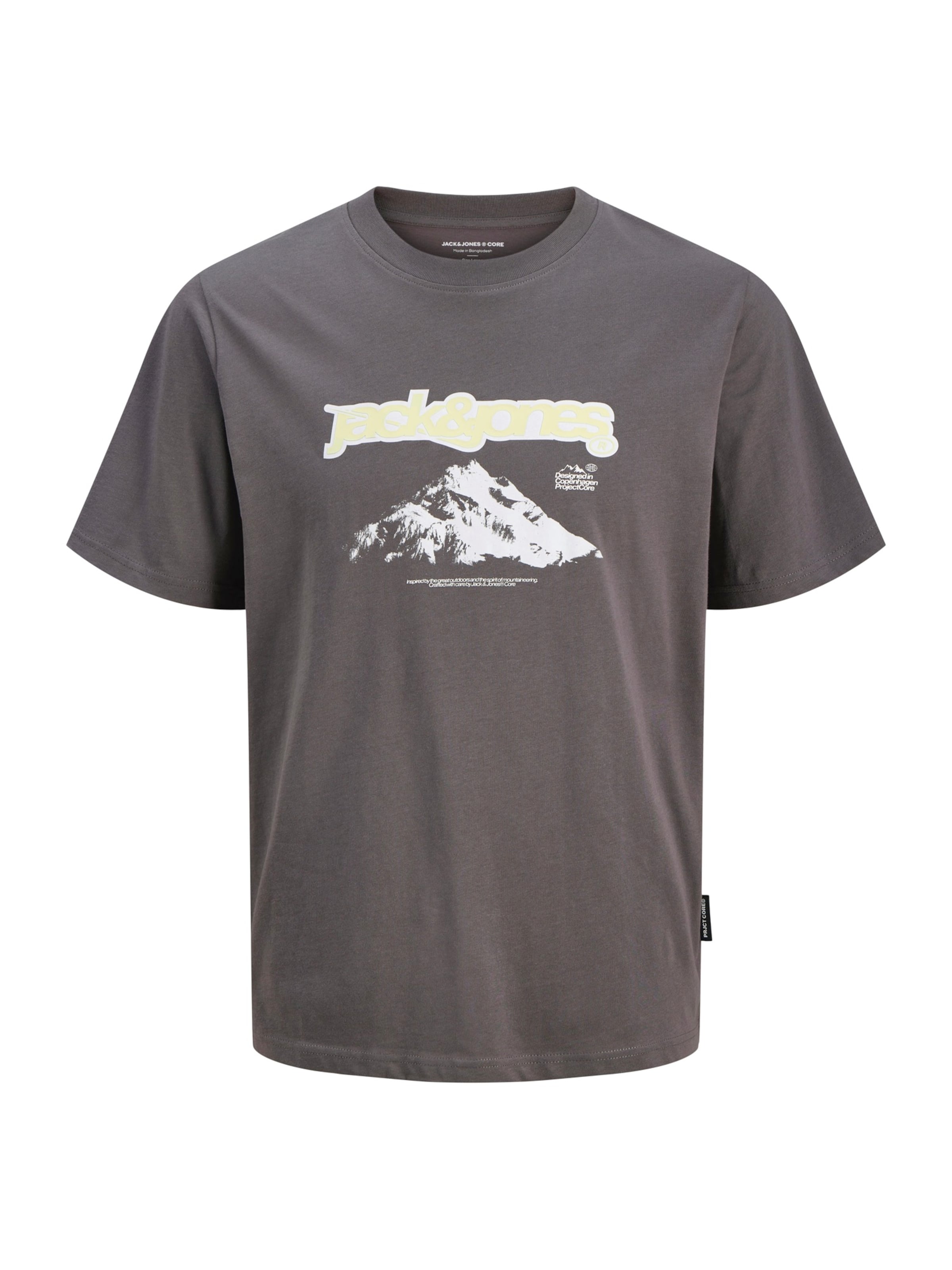 pelēks JACK & JONES T-Krekls 'JCOFLARE': no priekšpuses