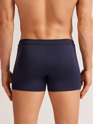 INTIMISSIMI Boxershorts 'Hanna-Barbera Tom And Jerry' in Blau
