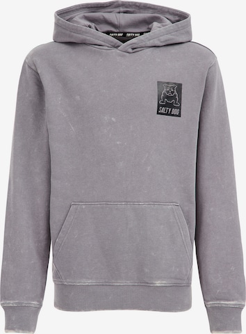 WE Fashion Sweatshirt i grå: framsida