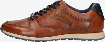 bugatti Sneakers in Brown