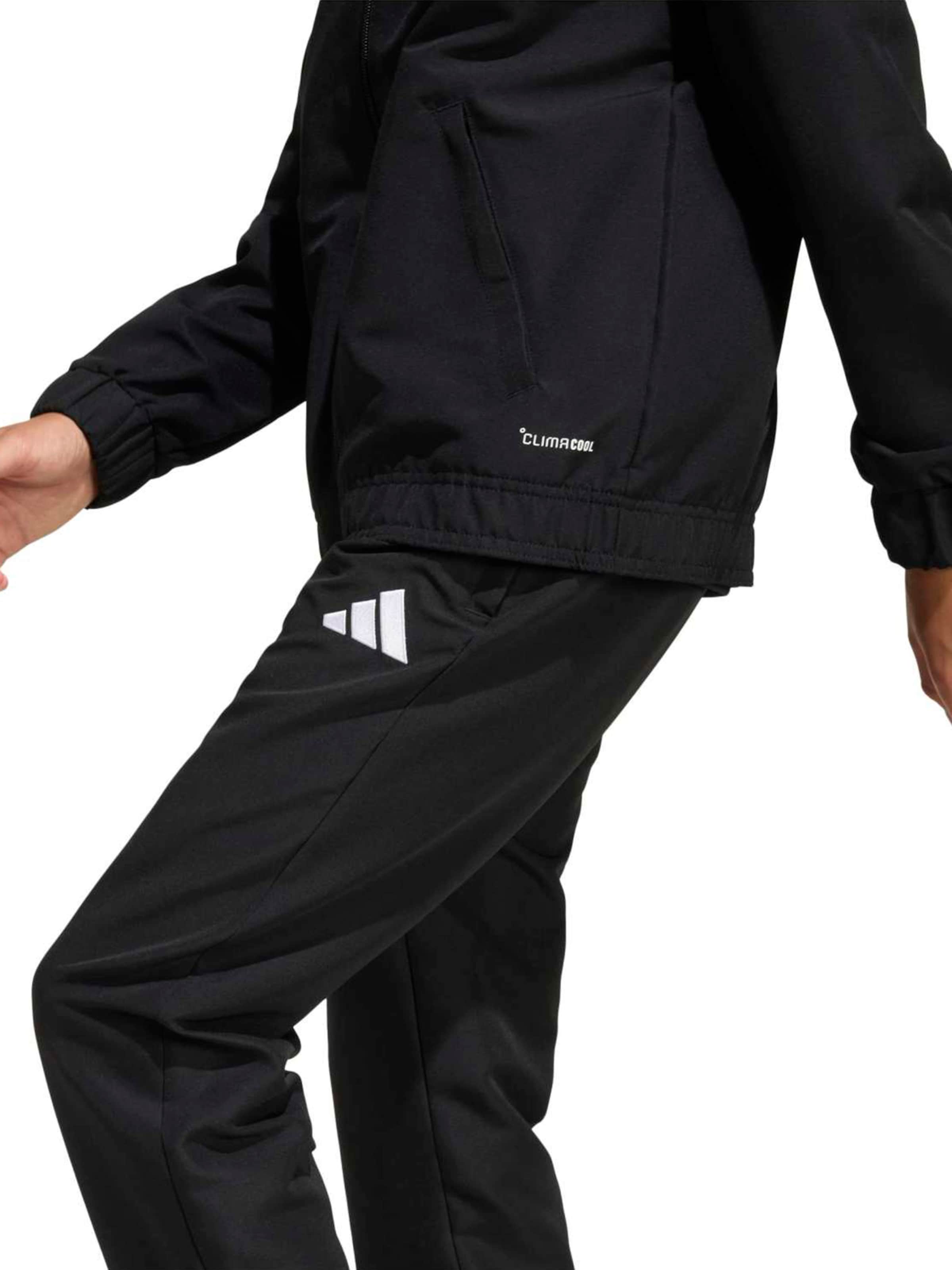 ADIDAS PERFORMANCE - regular Pantalón deportivo 'ENT26' en negro