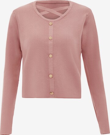 NAEMI Sweater in Pink: front
