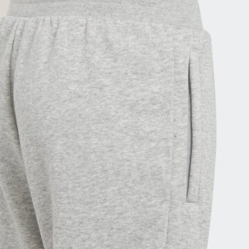 ADIDAS ORIGINALS Tapered Pants 'Adicolor' in Grey