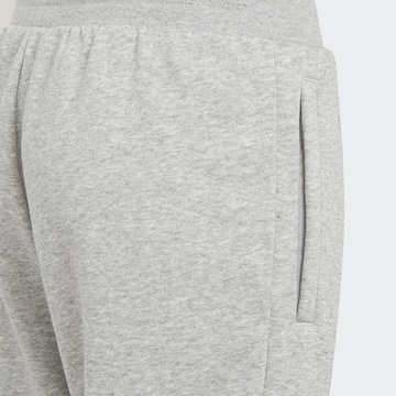Effilé Pantalon 'Adicolor' ADIDAS ORIGINALS en gris