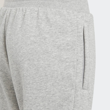 ADIDAS ORIGINALS - Tapered Pantalón 'Adicolor' en gris