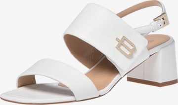 Baldinini Sandals in White: front
