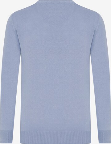 DENIM CULTURE Sweater 'Vincent' in Blue