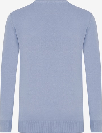 DENIM CULTURE Sweater 'Vincent' in Blue